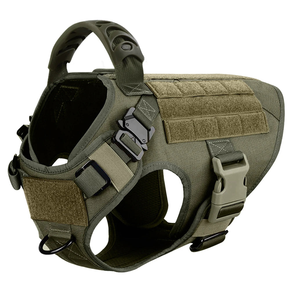 Large Dog Harness, Collar and Leash Set for Training and Walking