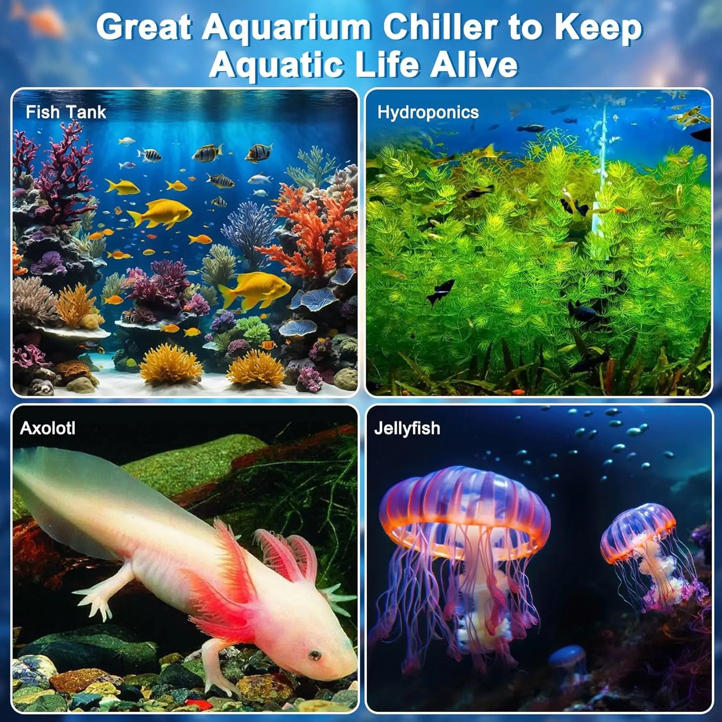 Aquarium Chiller for Fish Tank with Remote Control Pump