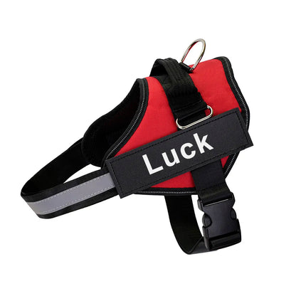 Reflective Dog Harness w/Custom Name Panel