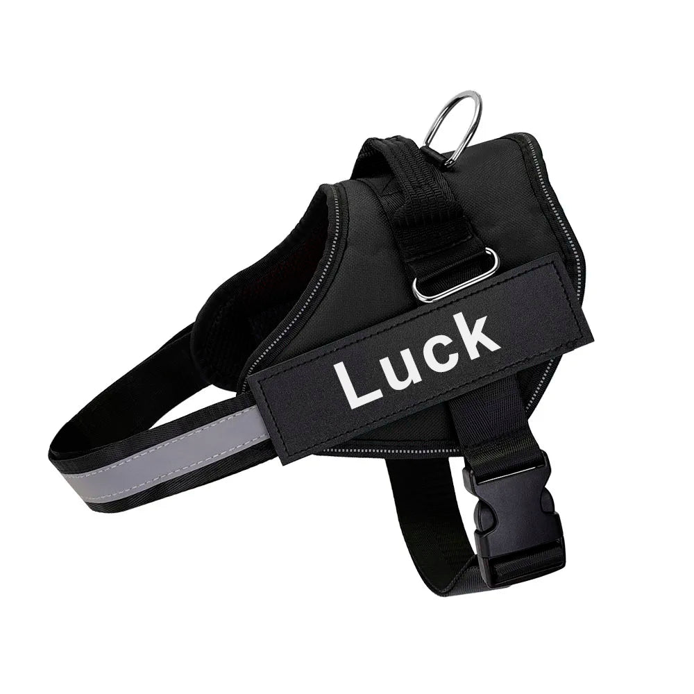 Reflective Dog Harness w/Custom Name Panel