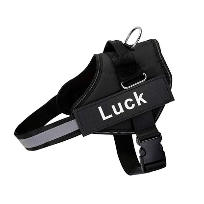 Reflective Dog Harness w/Custom Name Panel