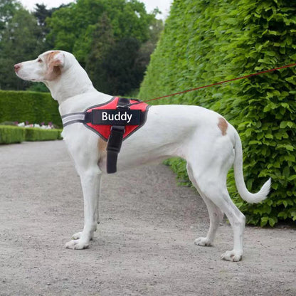 Reflective Dog Harness w/Custom Name Panel