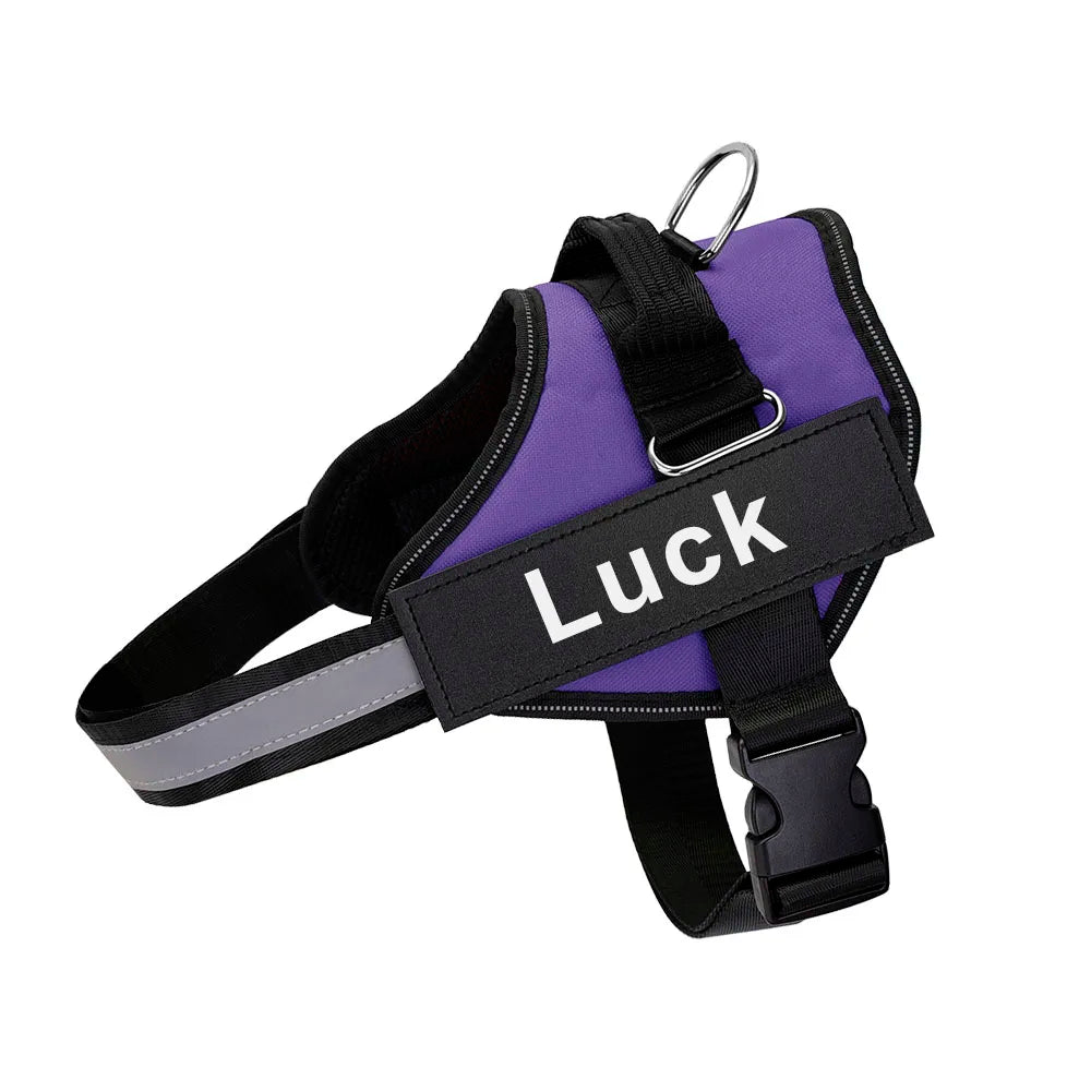 Reflective Dog Harness w/Custom Name Panel