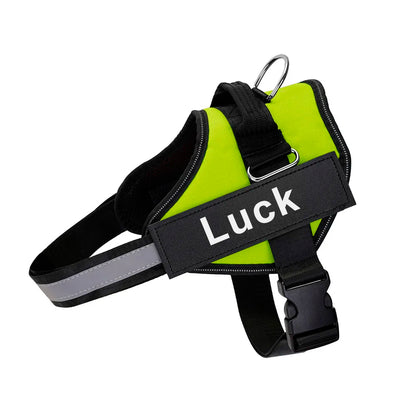 Reflective Dog Harness w/Custom Name Panel