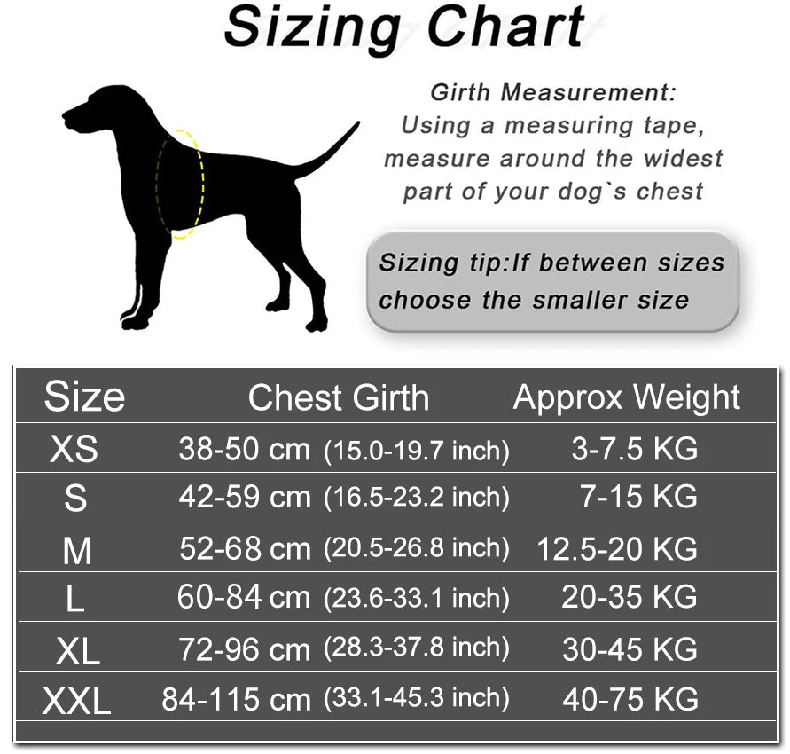Reflective Dog Harness w/Custom Name Panel