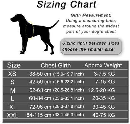 Reflective Dog Harness w/Custom Name Panel