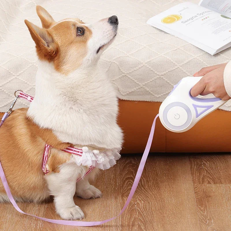LED Luminous Retractable Dog Leash
