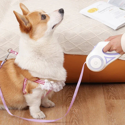 LED Luminous Retractable Dog Leash