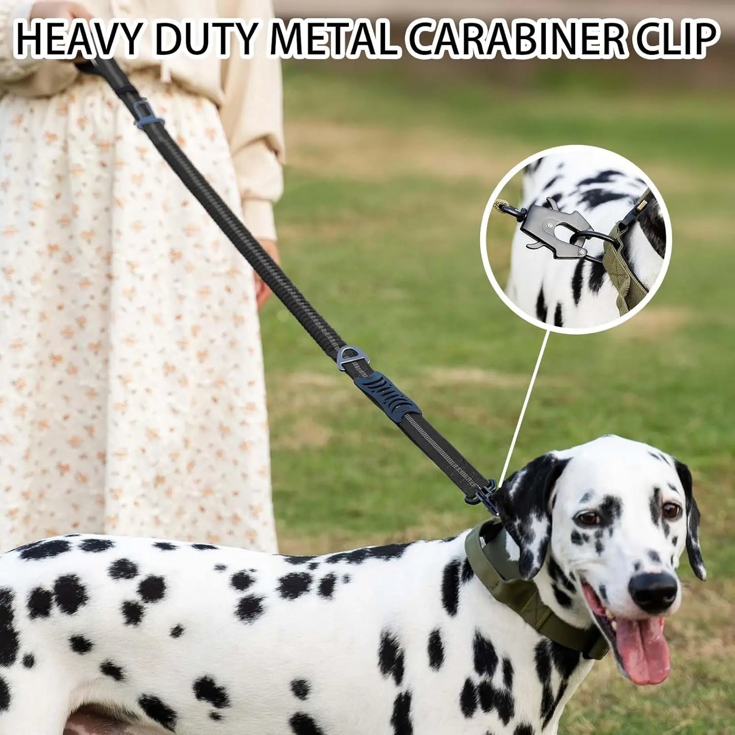 Reflective Large Dog Shock Absorbing Leash with Car Seatbelt