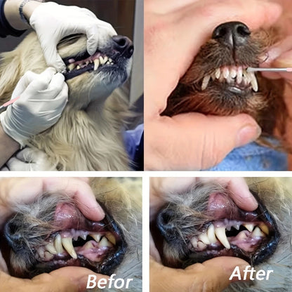 1pc Pet Dog Tooth Cleaner with Stainless Steel Tartar Remover