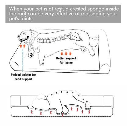 Dog Bed Extra Large Orthopedic with Removable Washable Cover