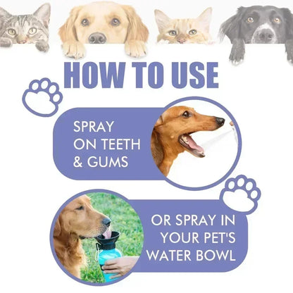 Pet Teeth Cleaning Spray for Tooth Stains & Fresh Breath