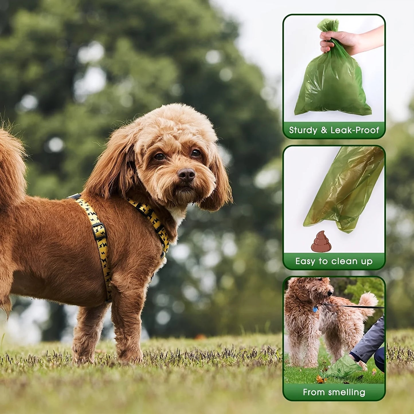 Leak-Proof & Odor-Proof Thickened Pet Feces Bags