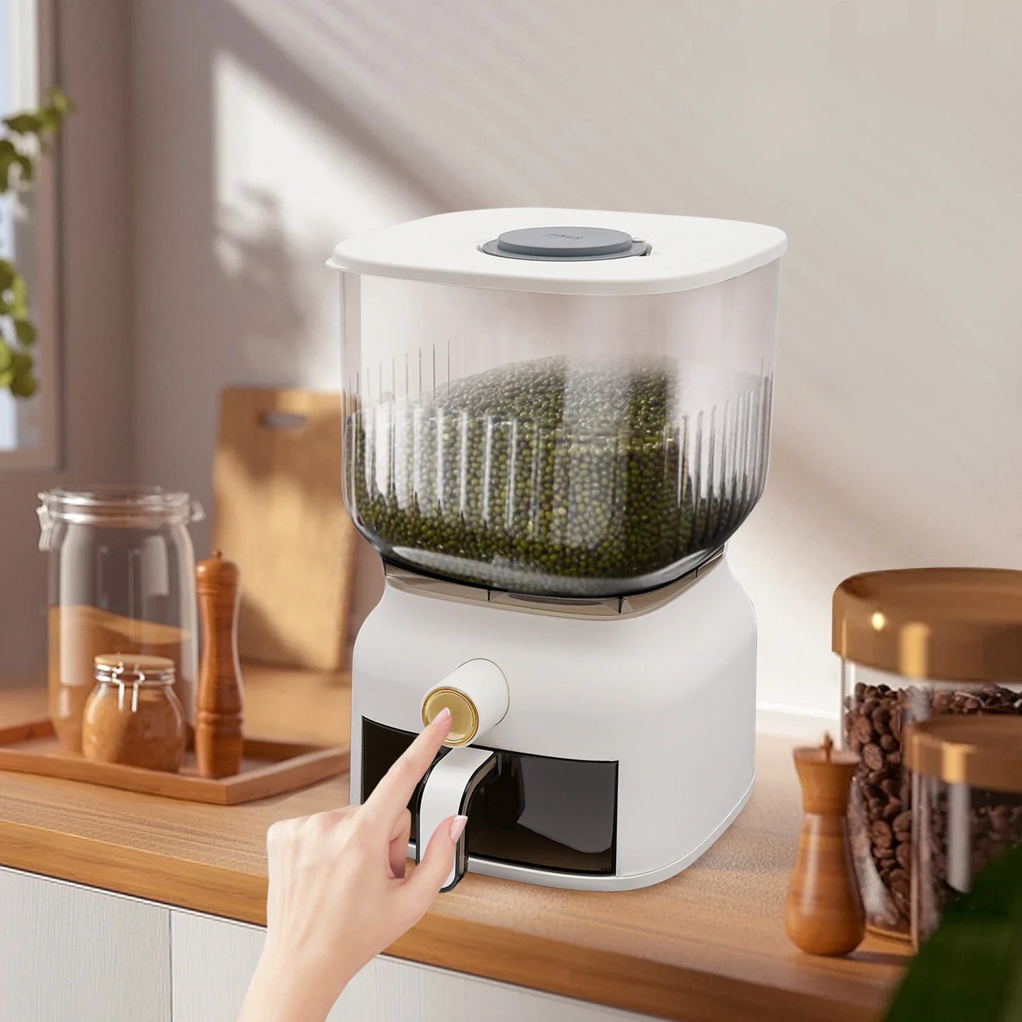 Rice Dispenser with Sealed Storage