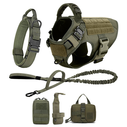 Large Dog Harness, Collar and Leash Set for Training and Walking