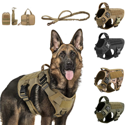 Large Dog Harness, Collar and Leash Set for Training and Walking