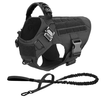 Large Dog Harness, Collar and Leash Set for Training and Walking