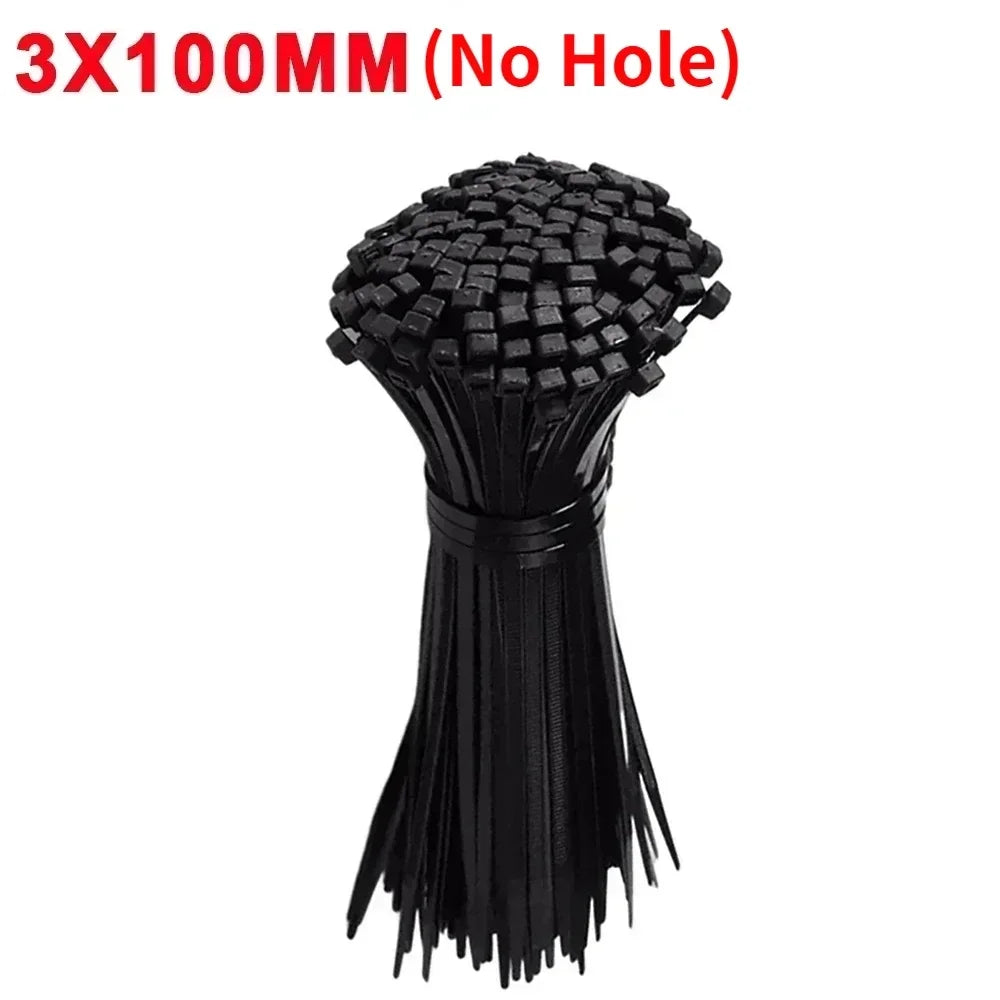 Nylon Cable Ties with Screw Hole Mount