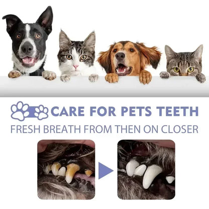 Pet Teeth Cleaning Spray for Tooth Stains & Fresh Breath