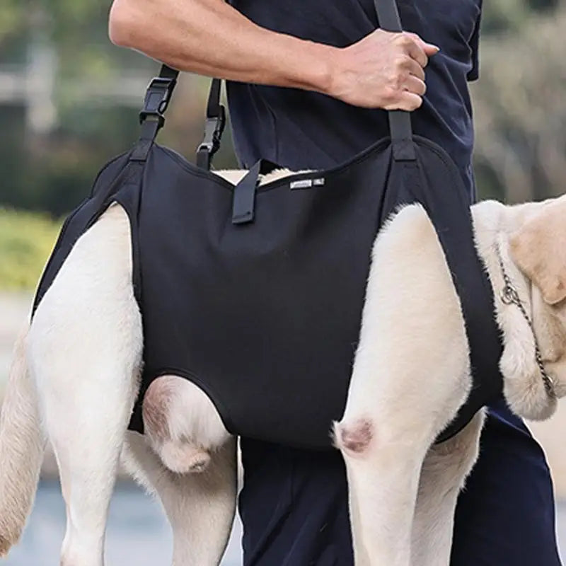 Pet Rehabilitation Lift Vest For Senior Dogs