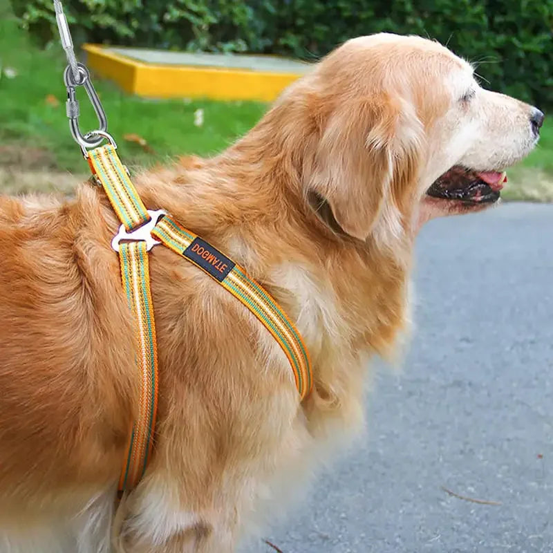 Double Cleat Dog Tie Out Cable