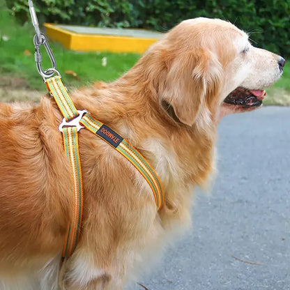Double Cleat Dog Tie Out Cable