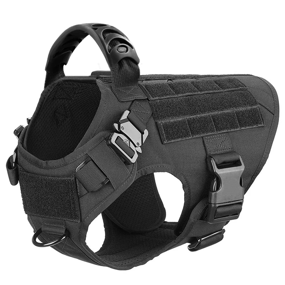 Large Dog Harness, Collar and Leash Set for Training and Walking