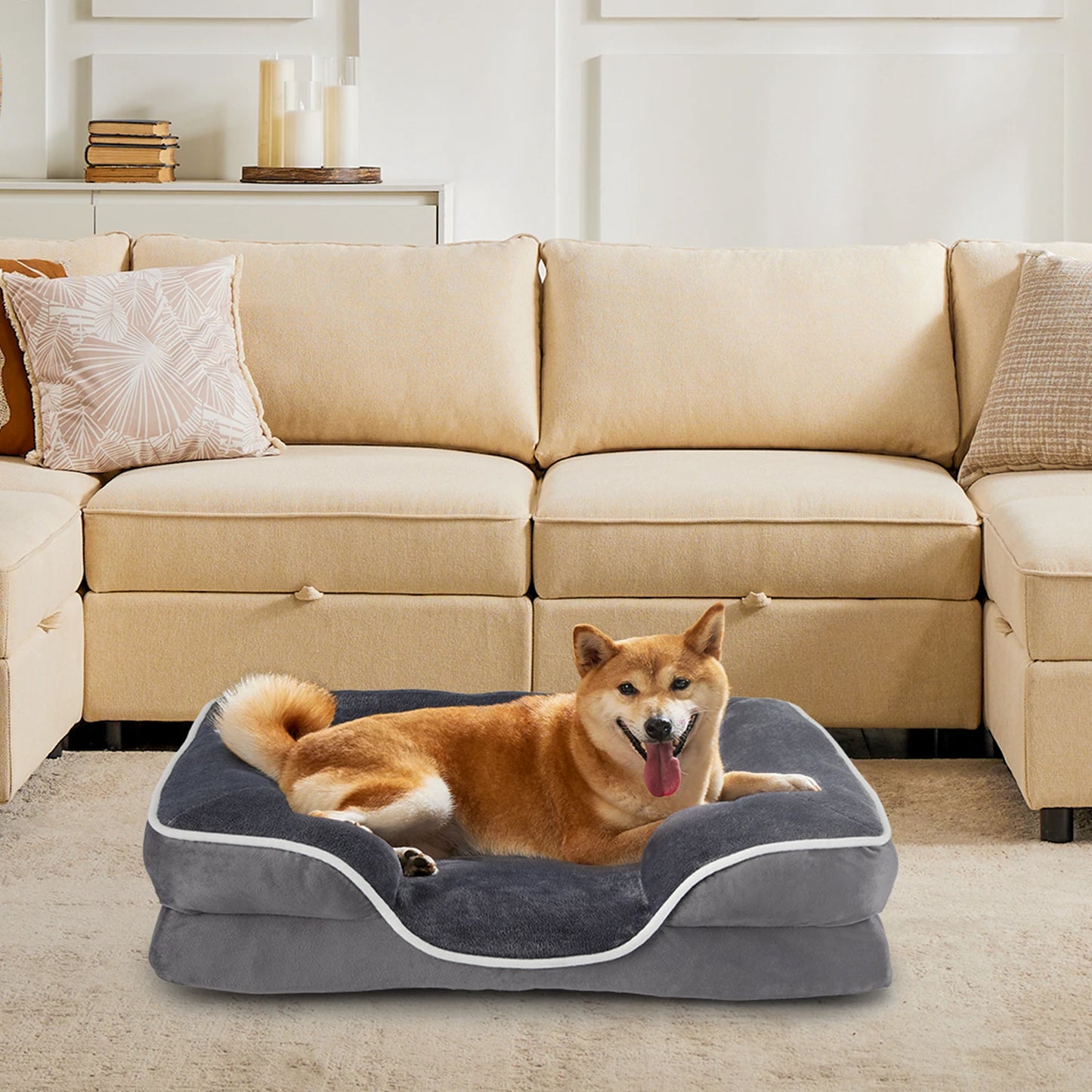 Orthopedic Dog Bed w/ Washable Cover