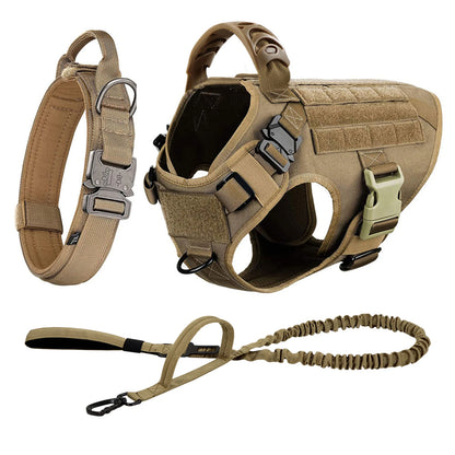 Large Dog Harness, Collar and Leash Set for Training and Walking