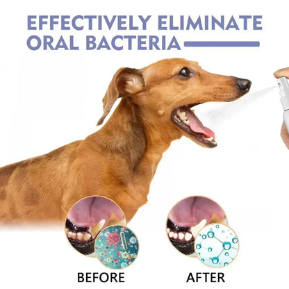 Pet Teeth Cleaning Spray for Tooth Stains & Fresh Breath