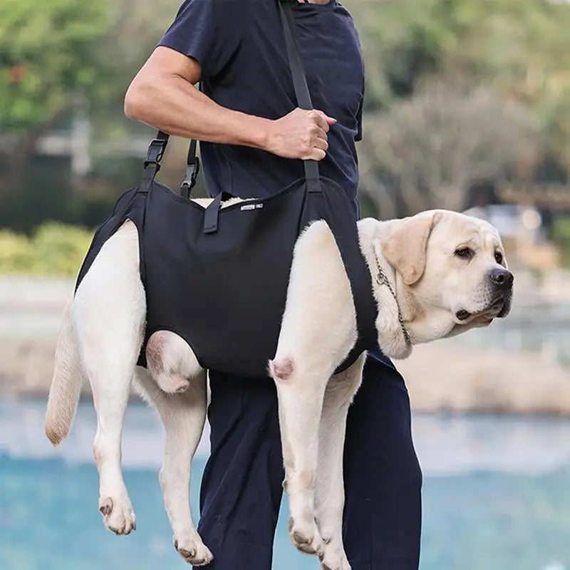 Pet Rehabilitation Lift Vest For Senior Dogs