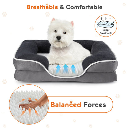 Orthopedic Dog Bed w/ Washable Cover