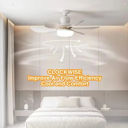 40W Ceiling Fan with Remote Control LED Light