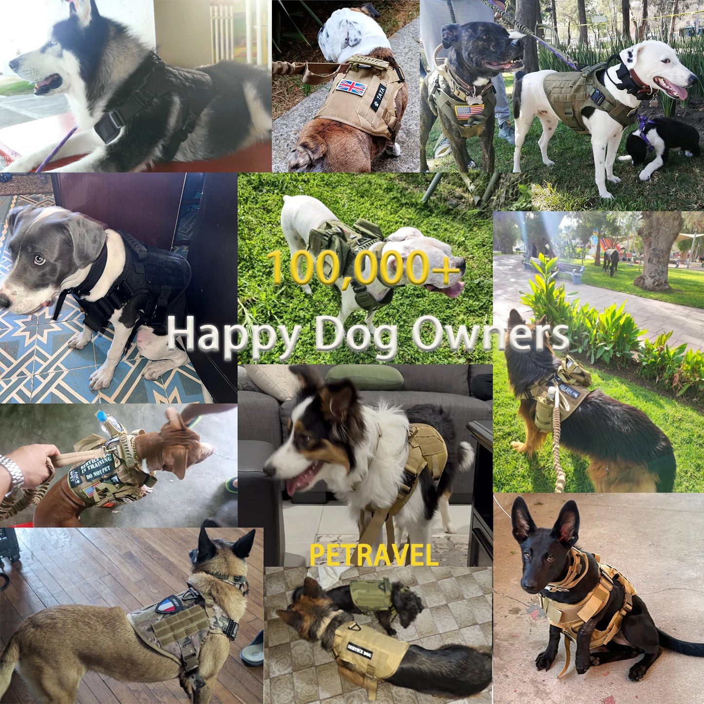 Tactical Dog Harness, Collar, and Leash