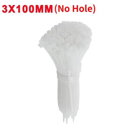 Nylon Cable Ties with Screw Hole Mount