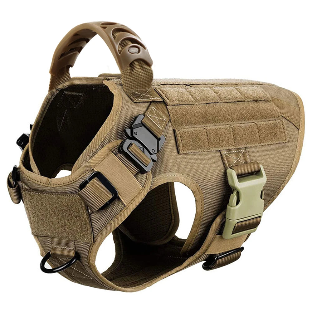 Large Dog Harness, Collar and Leash Set for Training and Walking