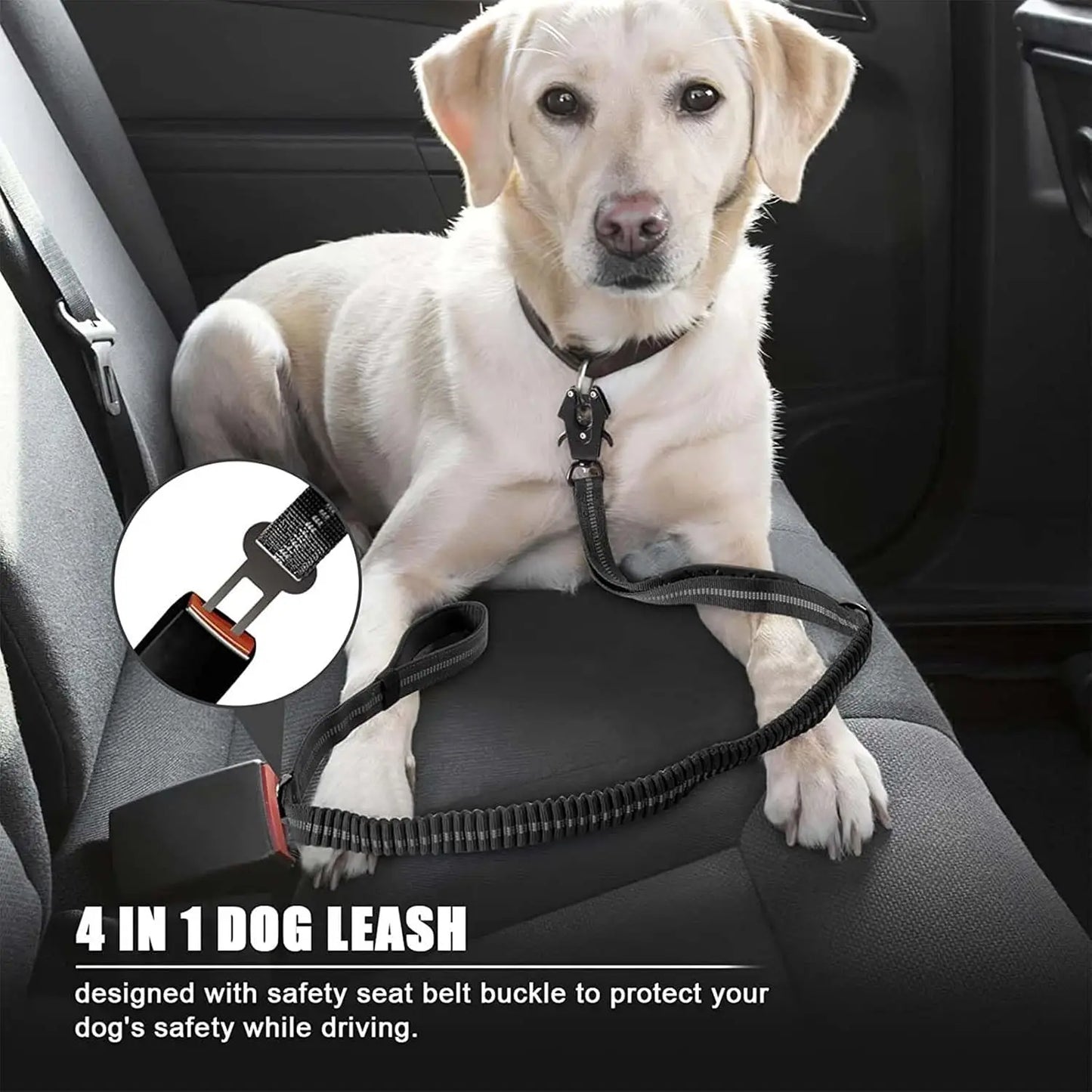 Reflective Large Dog Shock Absorbing Leash with Car Seatbelt