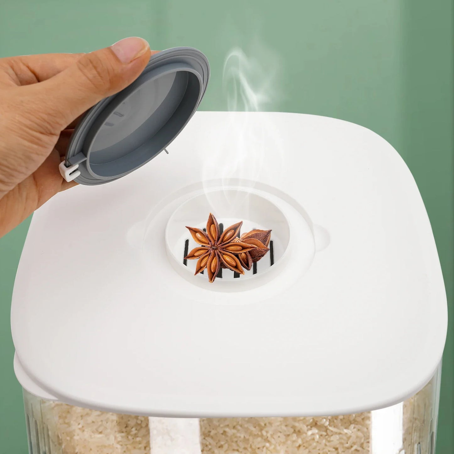 Rice Dispenser with Sealed Storage