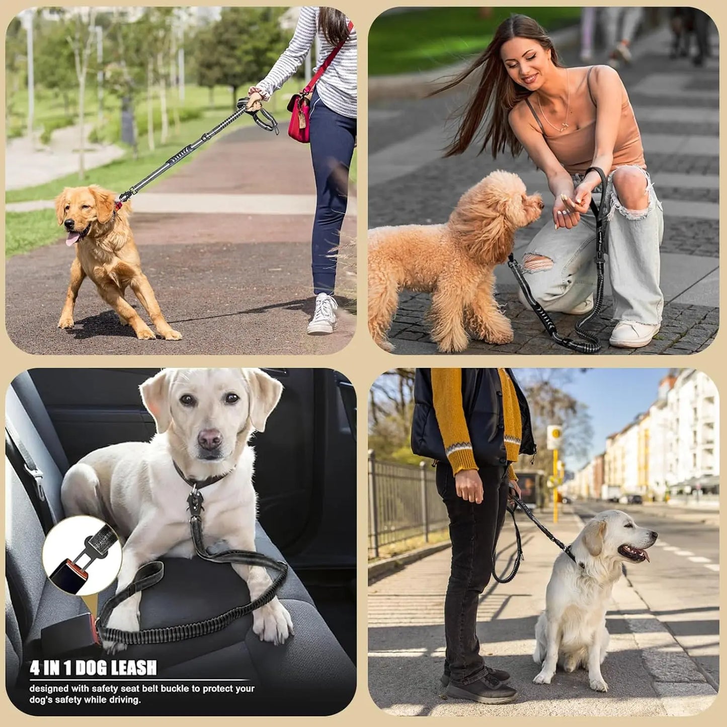 Reflective Large Dog Shock Absorbing Leash with Car Seatbelt