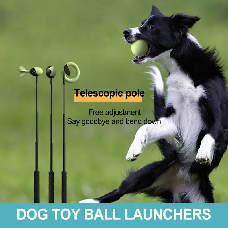 Throwing Pole Dog Toy, Tennis Ball Throwing Stick