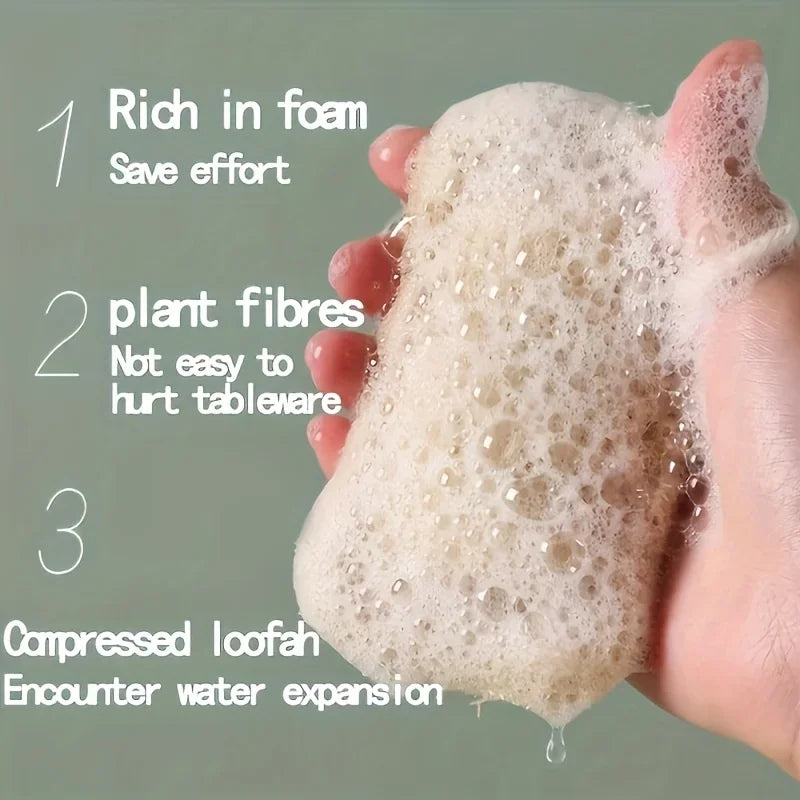 6pcs Natural Loofah Exfoliating Sponges