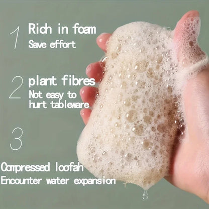 6pcs Natural Loofah Exfoliating Sponges