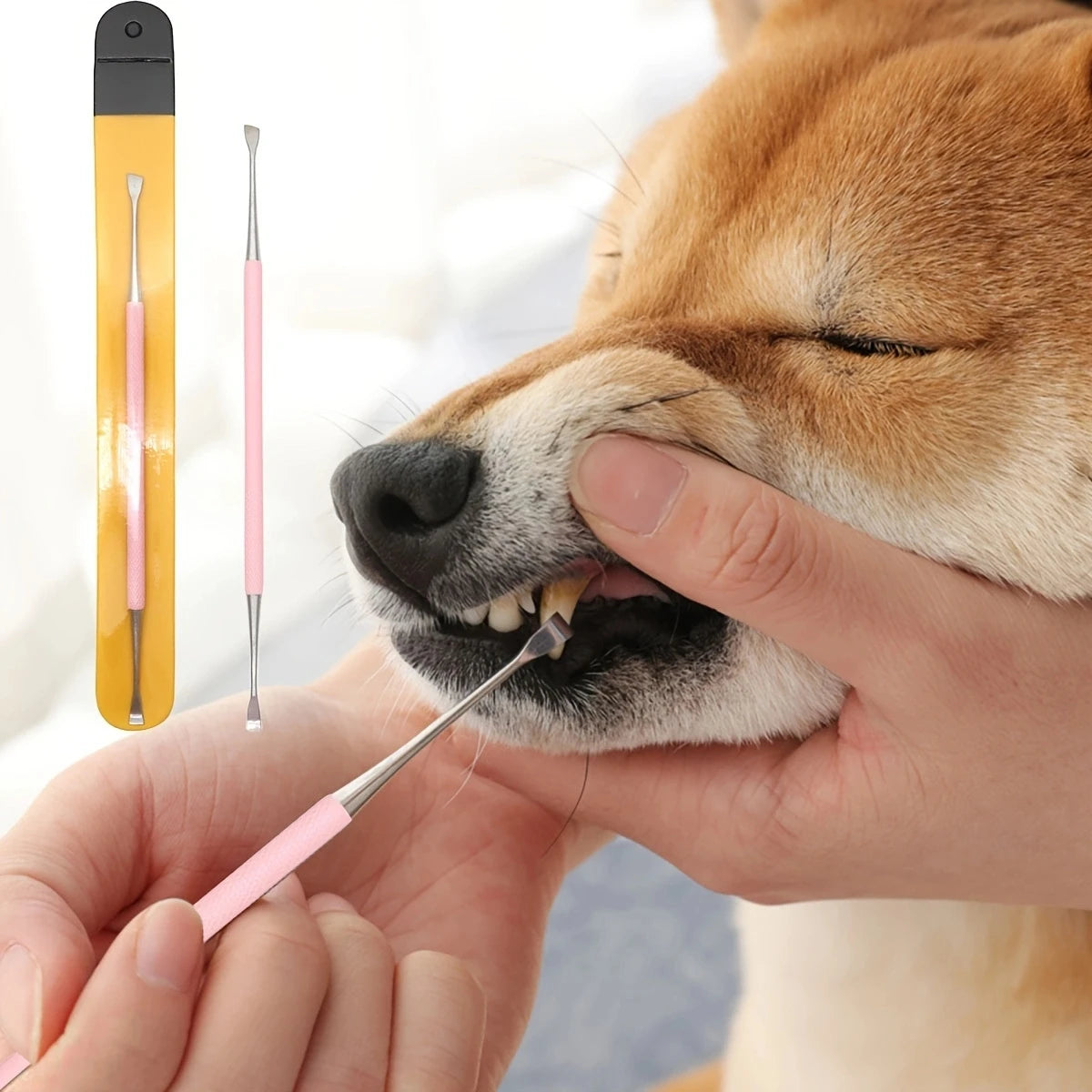 1pc Pet Dog Tooth Cleaner with Stainless Steel Tartar Remover