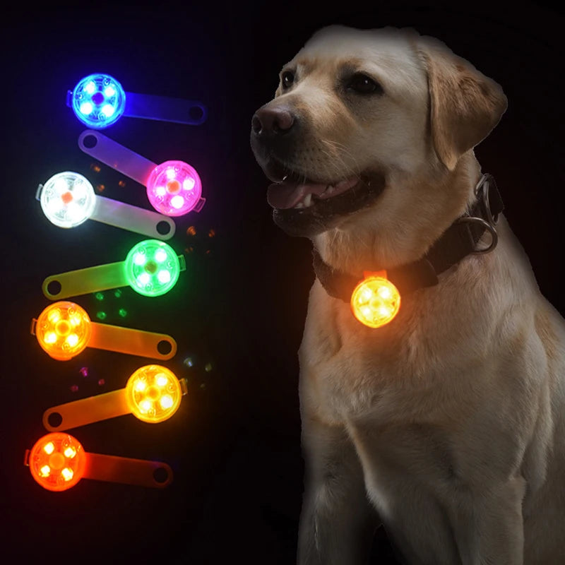 LED Pet Dog and Cat Pendant Collar With Lights