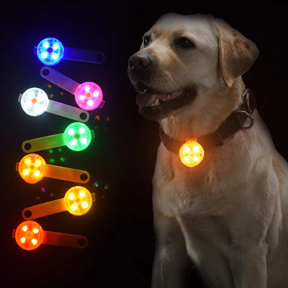 LED Pet Dog and Cat Pendant Collar With Lights