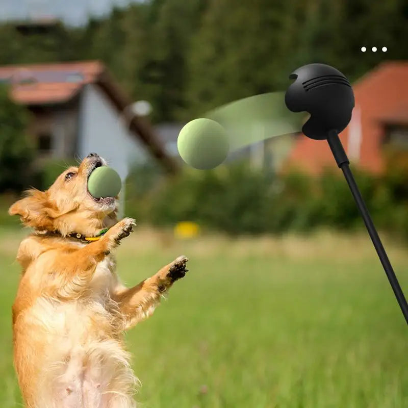 Throwing Pole Dog Toy, Tennis Ball Throwing Stick